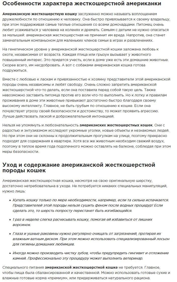 https://koshkin--sait.blogspot.com/