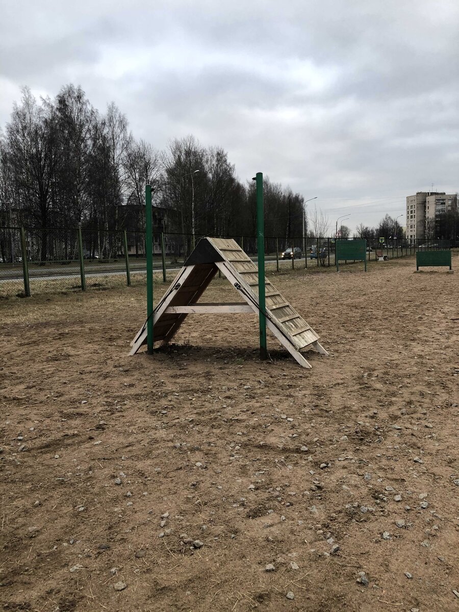 Площадка для собак в Пискарёвском парке. Санкт-Петербург