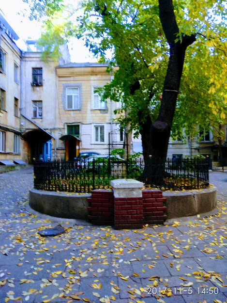Одесский дворик. Фото автора
