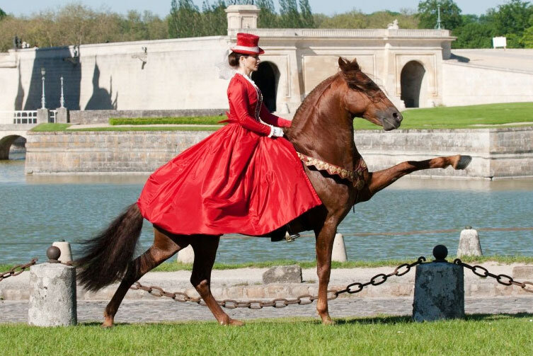 Источник фото сервис Яндекс.Картинки Готан