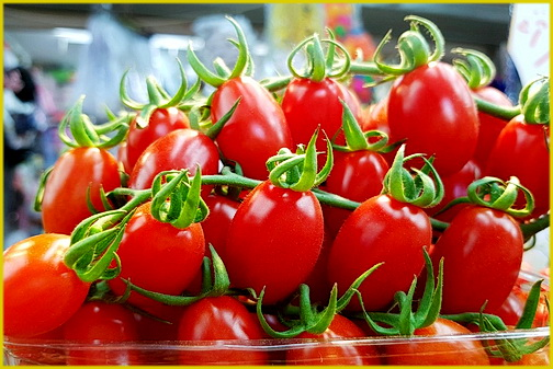 Преимущества выращивания комнатных помидоров черри