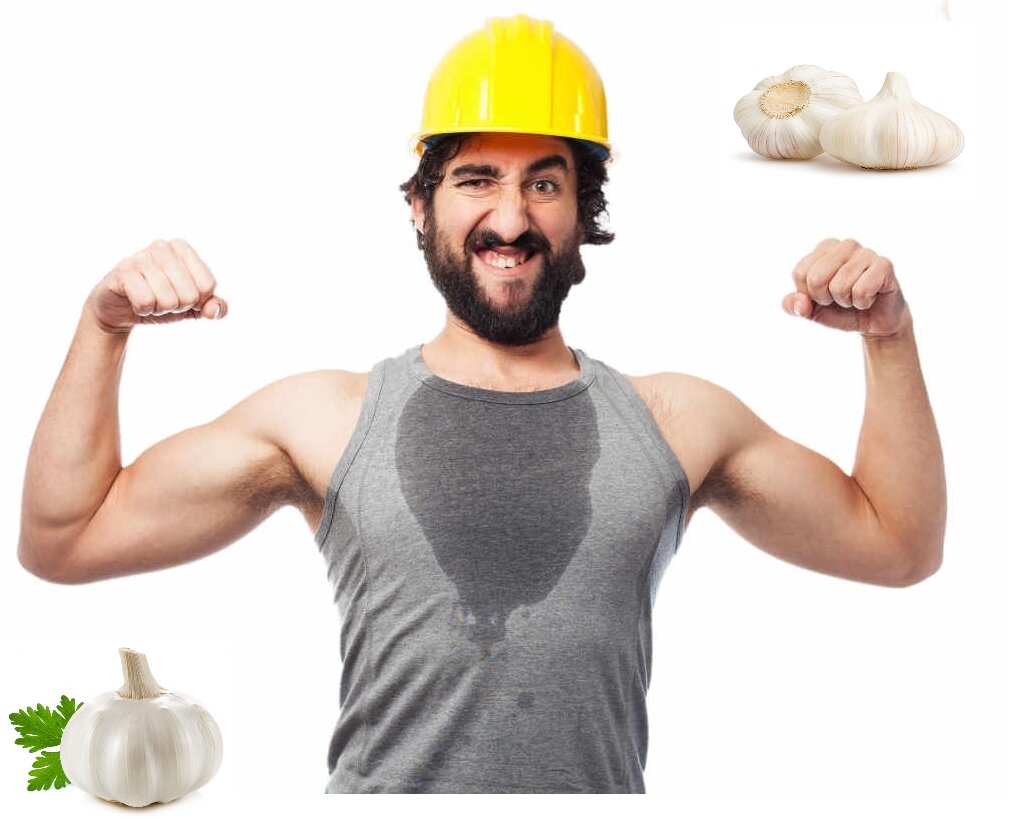 tradie-body-management The Ultimate 2019 Business Checklist For Tradies
