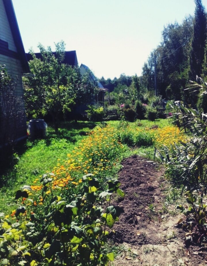   личное фото