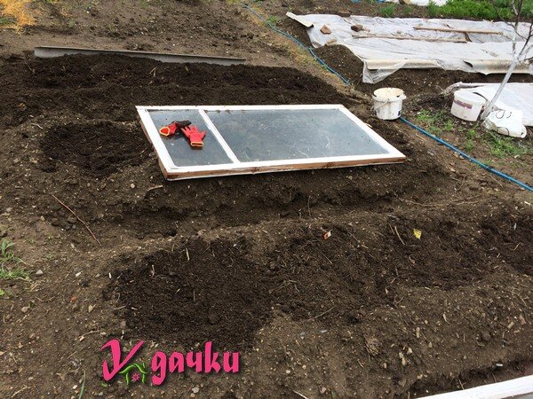 Мои грядки под огурцы