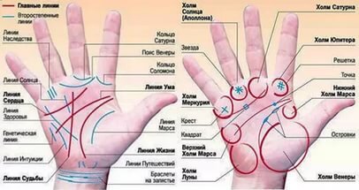 Для чего человеку линии на ладонях?