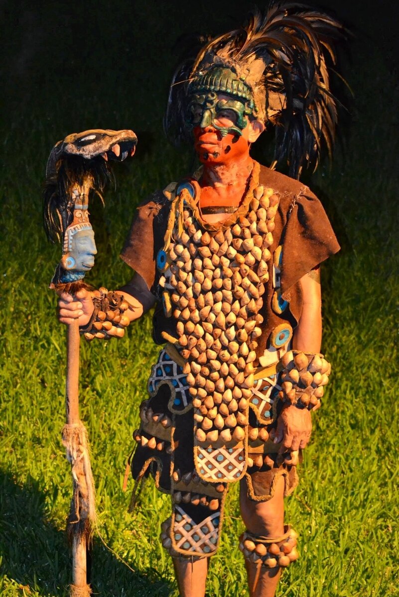 Яндекс картинки 