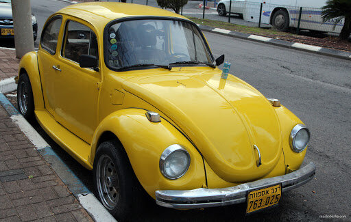 Изображение заимствовано с сайта mashapasha.com