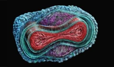 познакомься с моим внутренним миром)))))