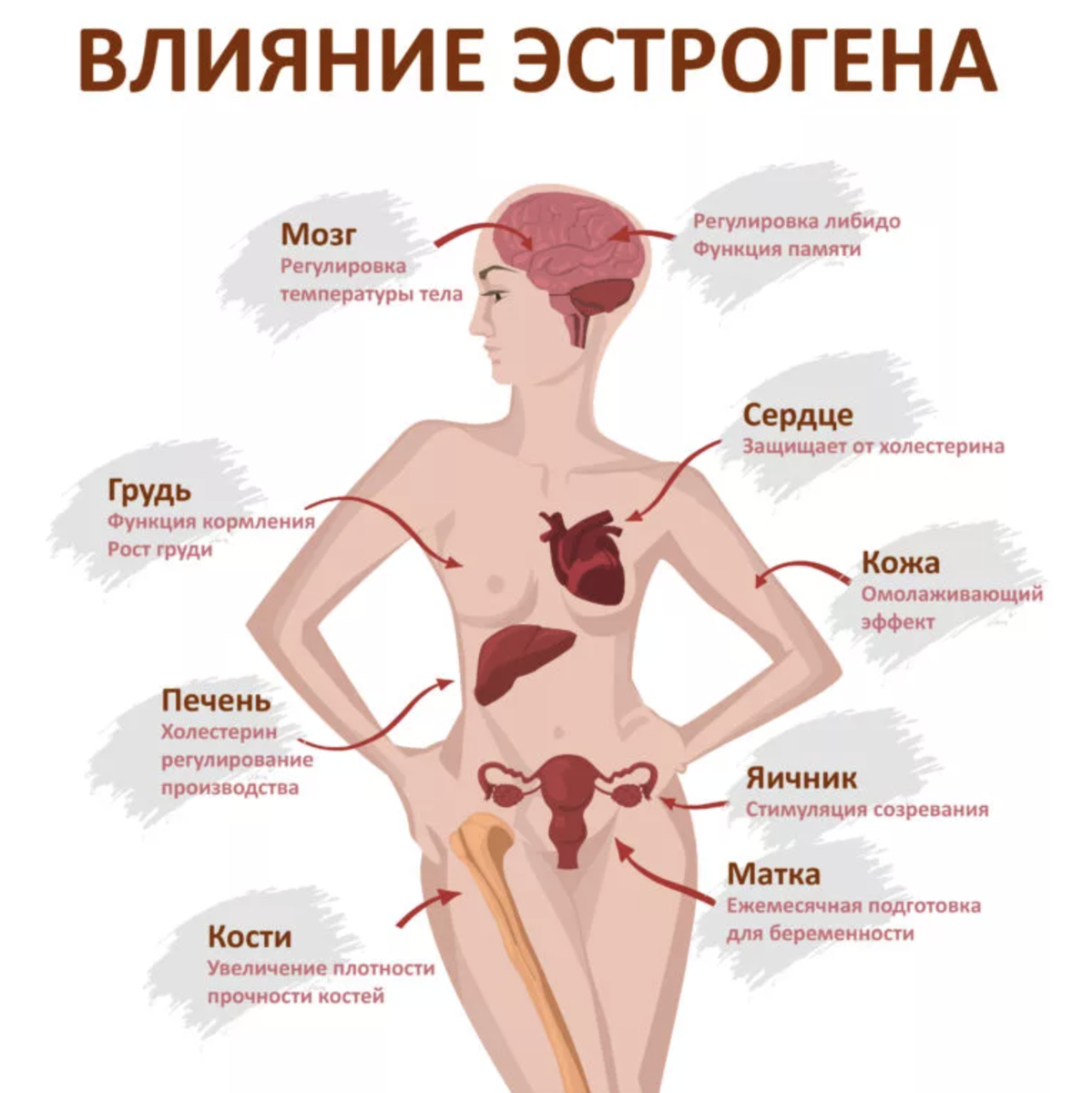 Белоснежная жемчужина» маска для лица. | Evklida24. красота и здоровье |  Дзен