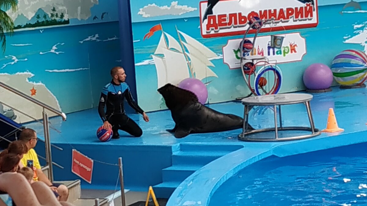 Дельфинарий