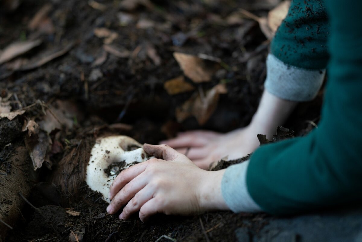 Кадр из фильма "Кукла 2: Брамс" 2020г.