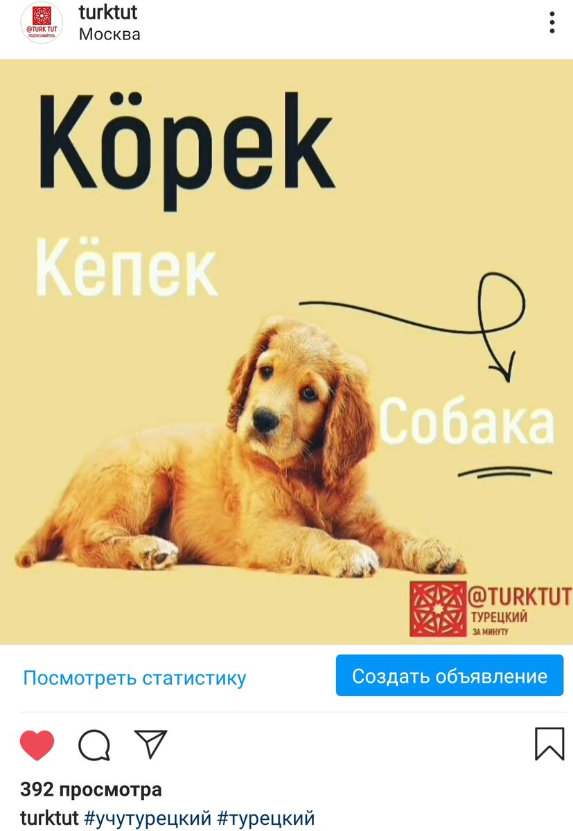 Источник Инстаграм @turktut