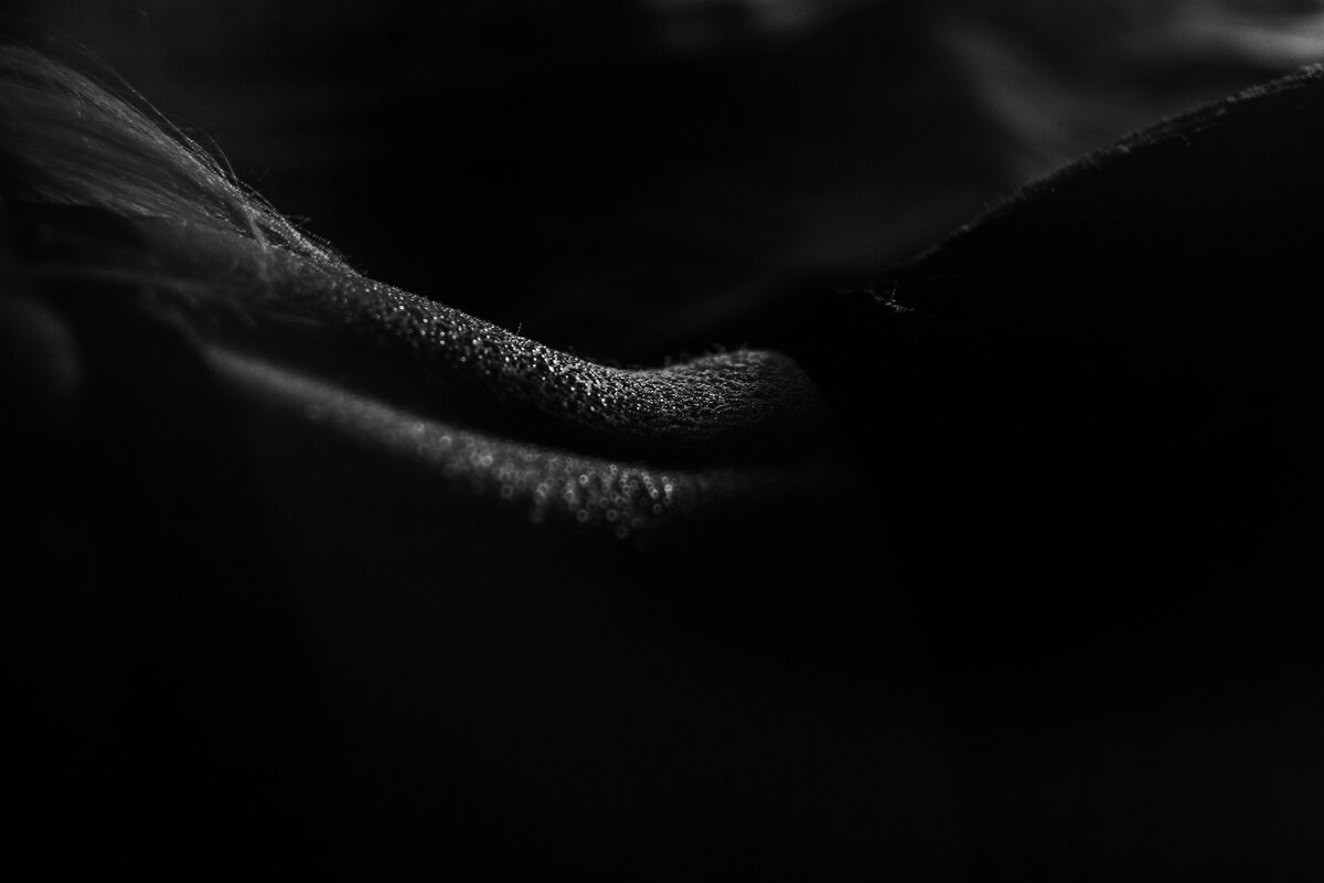 фото из личной коллекции