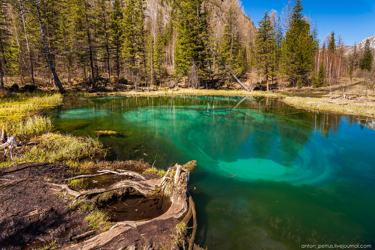 Картинка взята из свободного доступа Яндекс картинки