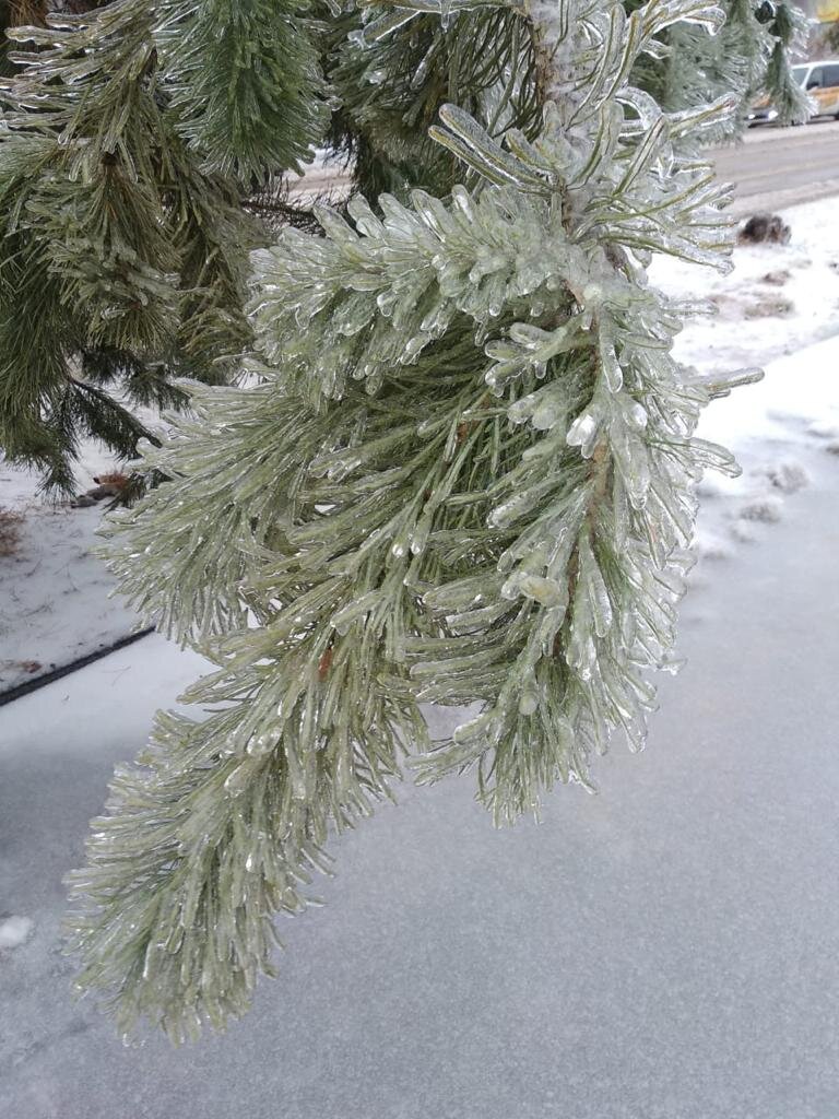 Авторское фото.