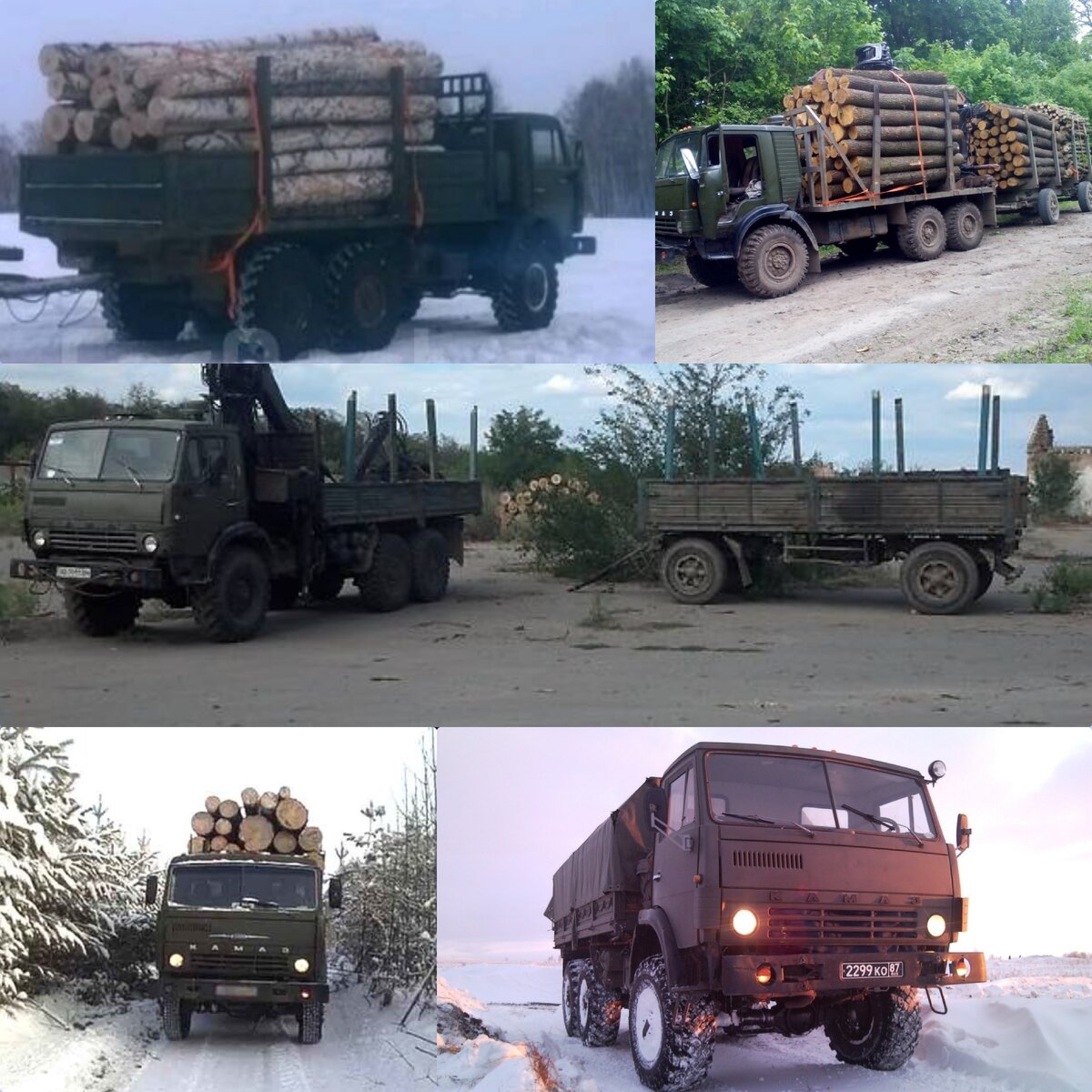 Коллаж для примера, фото из свободных источников.