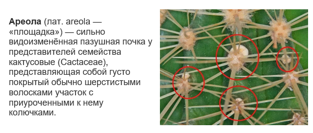 Для справки