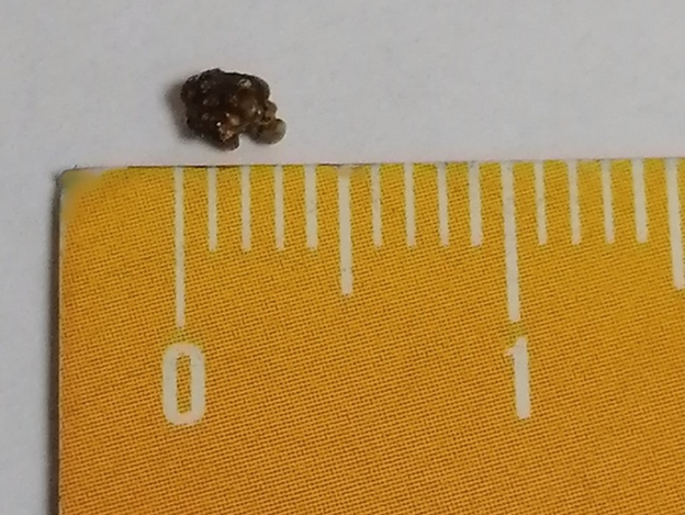 Какой красавец, не правда ли?!)))