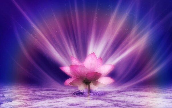 Взято из интернета