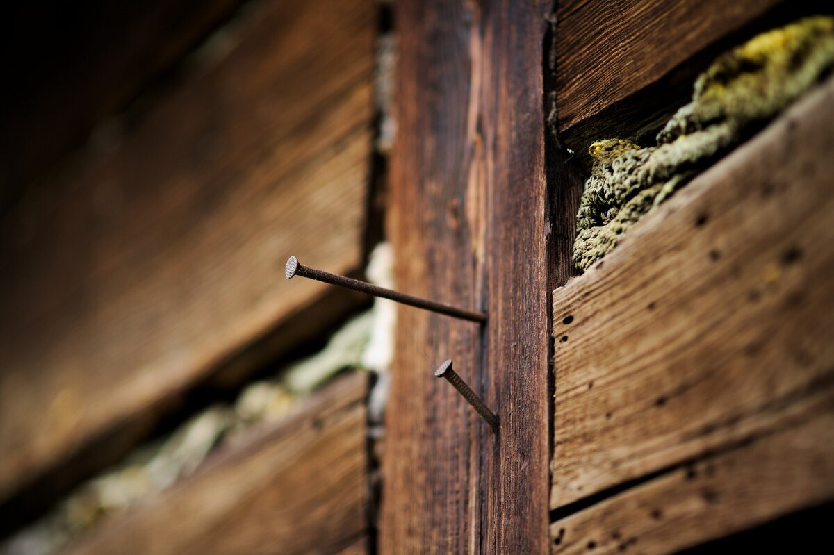 Фото из интернета. Источник (бесплатный фотосток): flickr