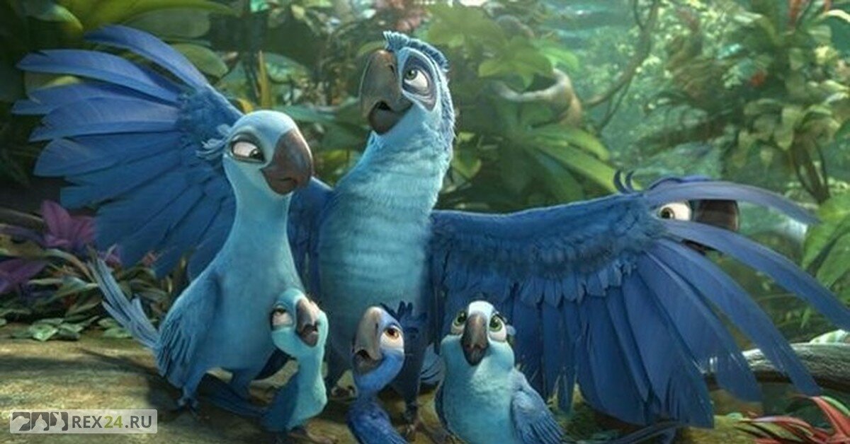 Фото: кадр из мультфильма