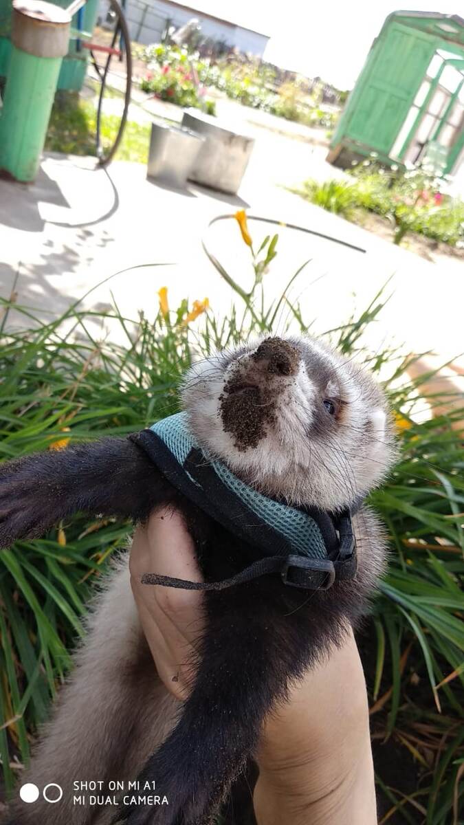 Фото из личного архива автора