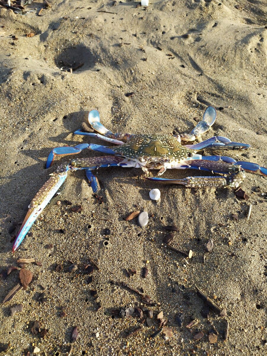 Фото из личного архива