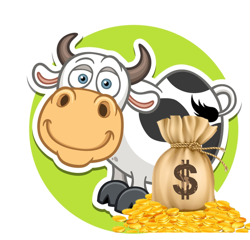 фото из сети