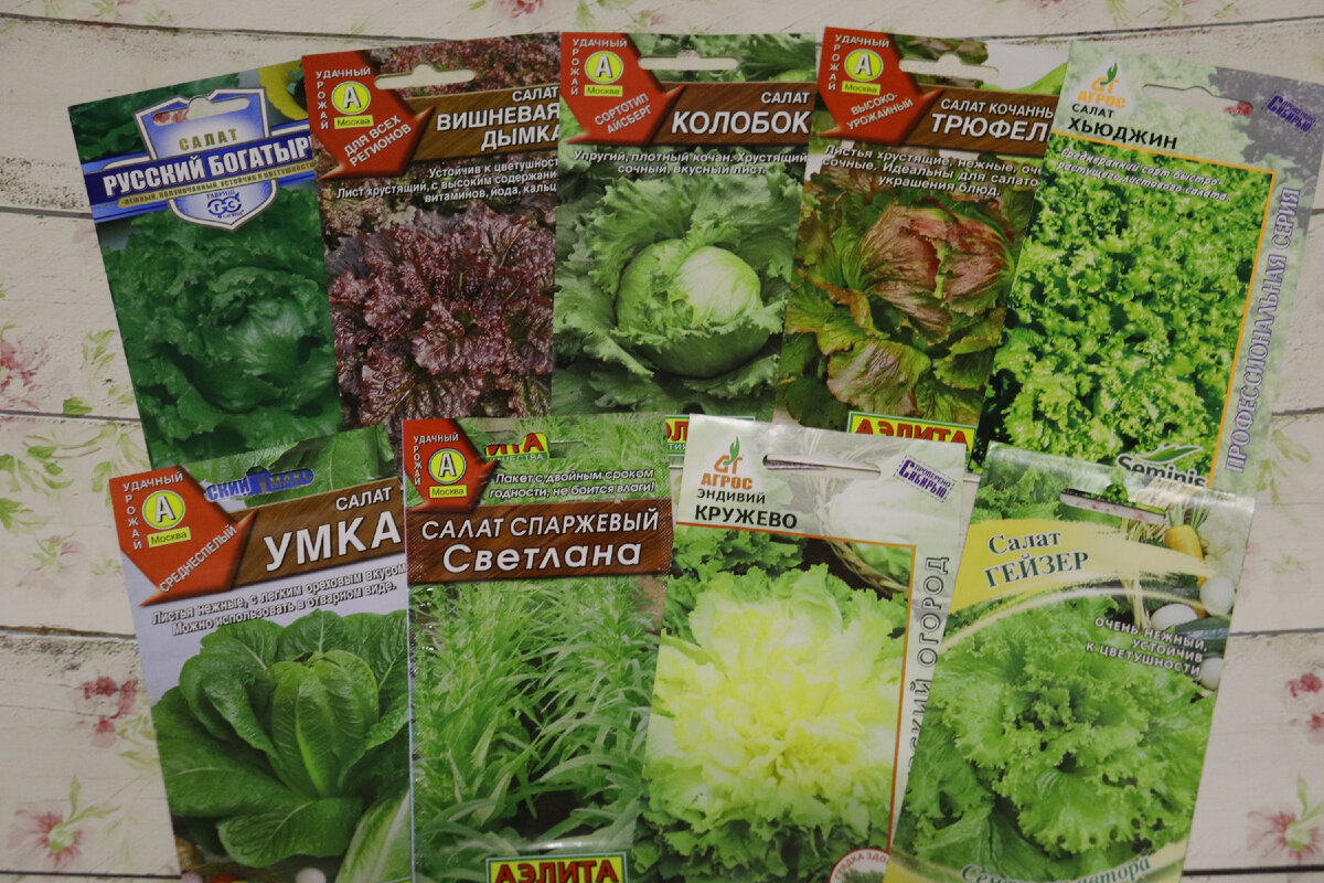 часть семян салата, которые посеяла в этом сезоне (фото автора)