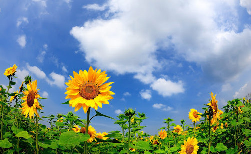 ЛЕТО_МАЛЬНЕКАЯ ЖИЗНЬ!УЖЕ СКОРО!ВОТ ВОТ НАЧНЕТСЯ!