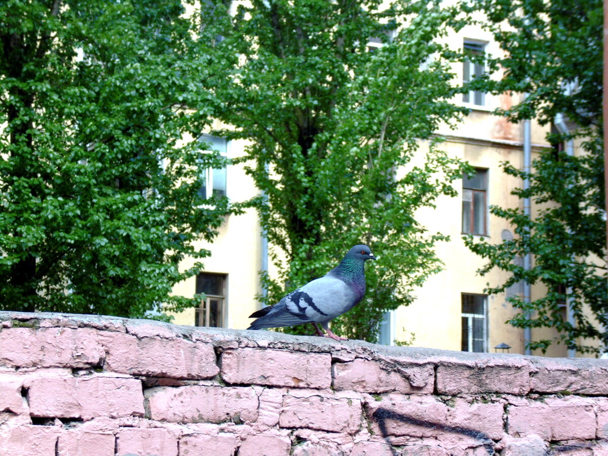 Улица Можайская в деталях. Все фото автора