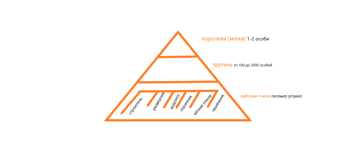 капиталистическое общество пчёл