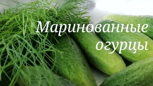 Подосиновики маринованные на зиму