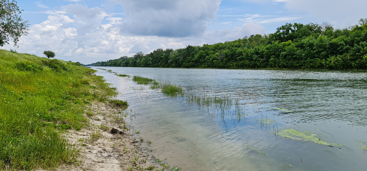 Красота водоёма