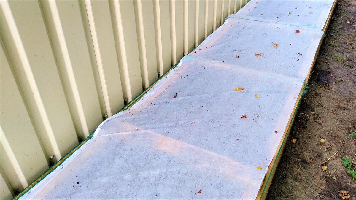   Наш череночник. Фото автора.