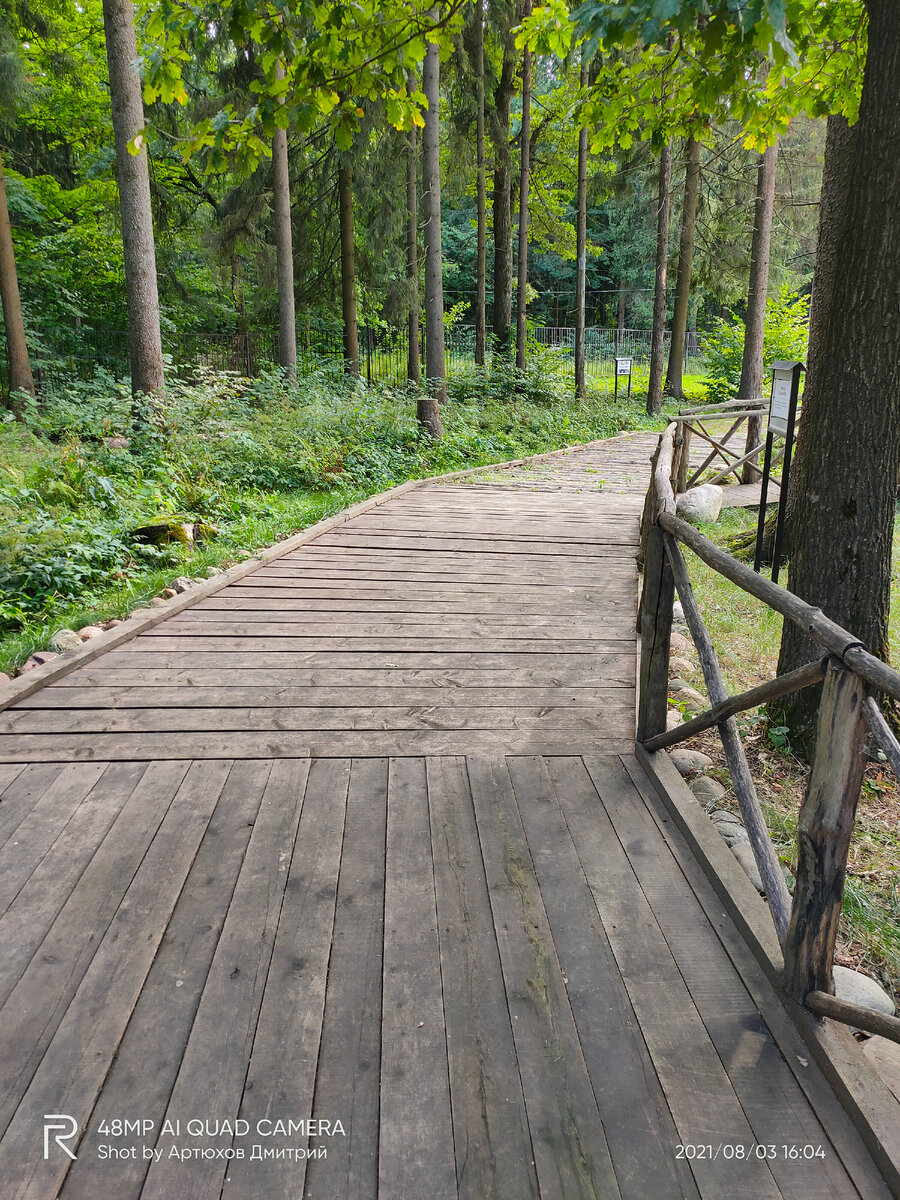 Мостовая из досок