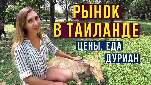 Зоопарк Кхао Кхео в Паттайе, Кормим Животных - Тайский Рынок для Местных, Цены в Таиланде