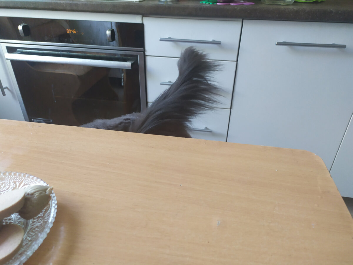 Тут тоже видны два кота)))