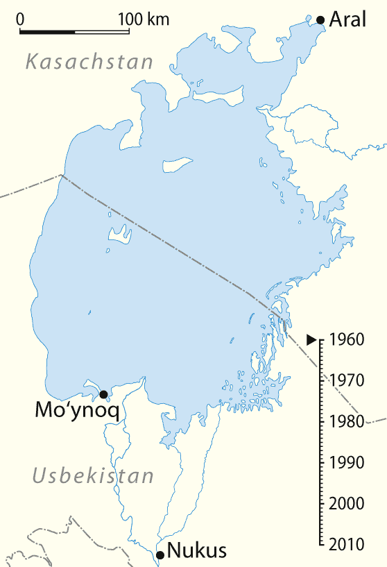 Обмеление Аральского моря в динамике/ Гиф: © en.m.wikipedia.org