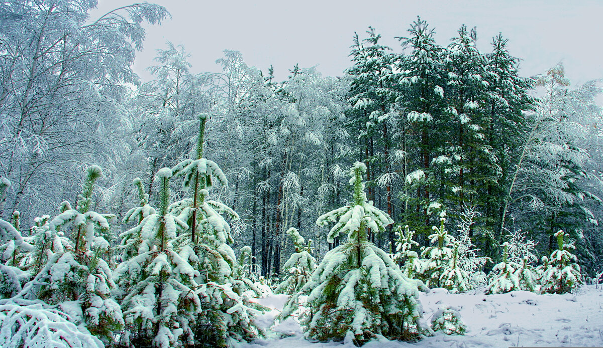 Фотография, стихотворение Василия Глуцкого