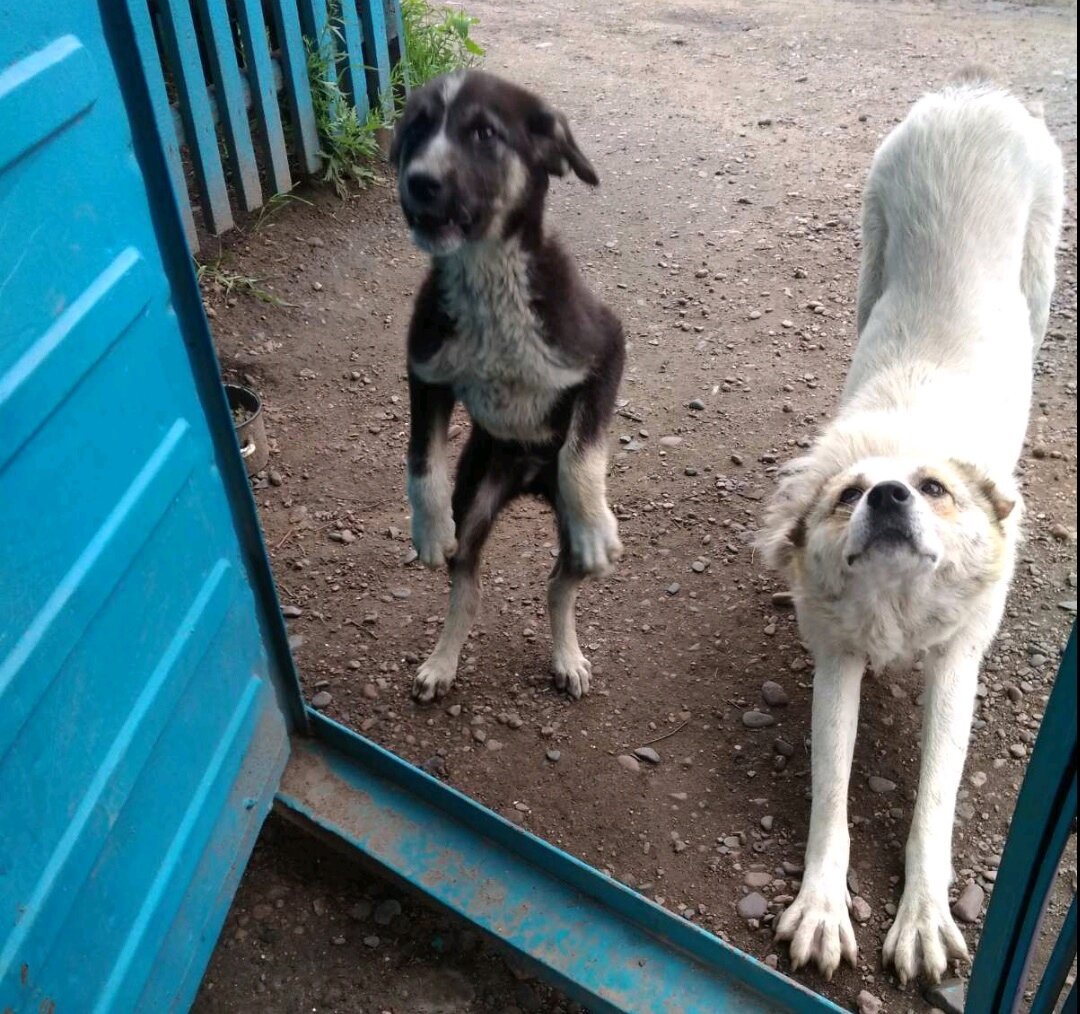 Это они были маленькие
