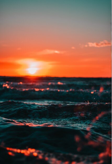 Фото автора Александр Прокофьев: Pexels