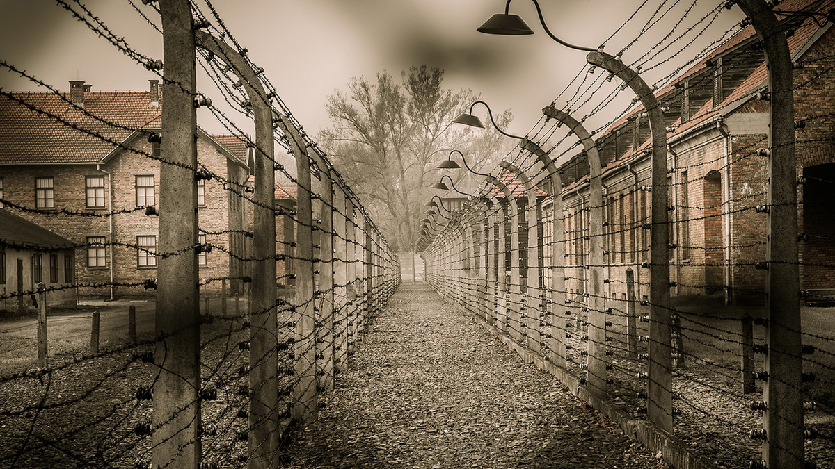 Фото: Европейский-университет