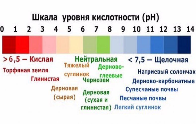 Изображение для иллюстрации, взято из открытых источников