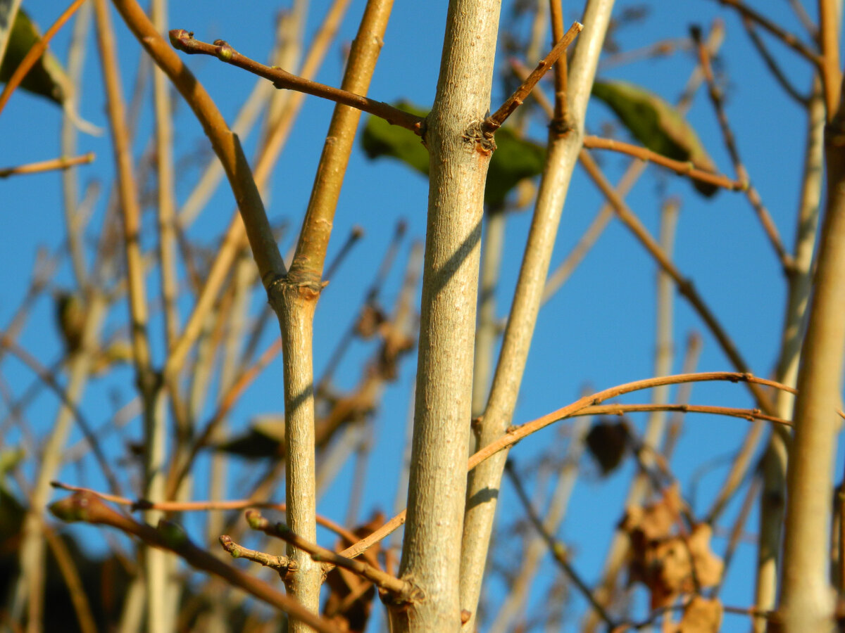 фото автора канала