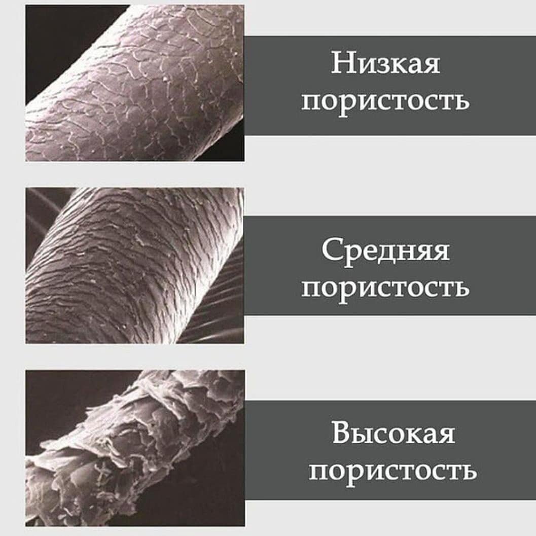 Пористость волос: что это и зачем о ней знать🌀 | ICE CURLY | Дзен