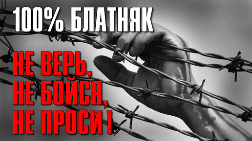 текст песни тату не верь не бойся не проси
