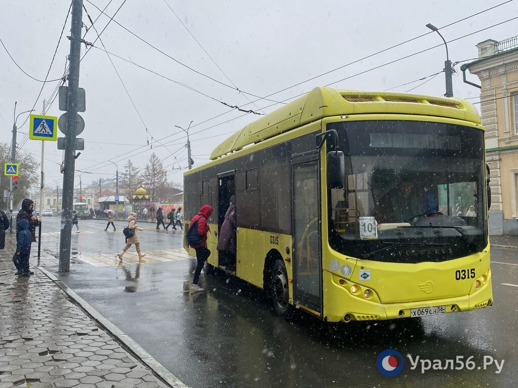 Администрация Оренбурга ищет перевозчиков на 13 автобусных маршрутов. Общая  сумма контрактов – 155,3 млн рублей | Урал56.Ру | Оренбург, Орск - главные  новости | Дзен