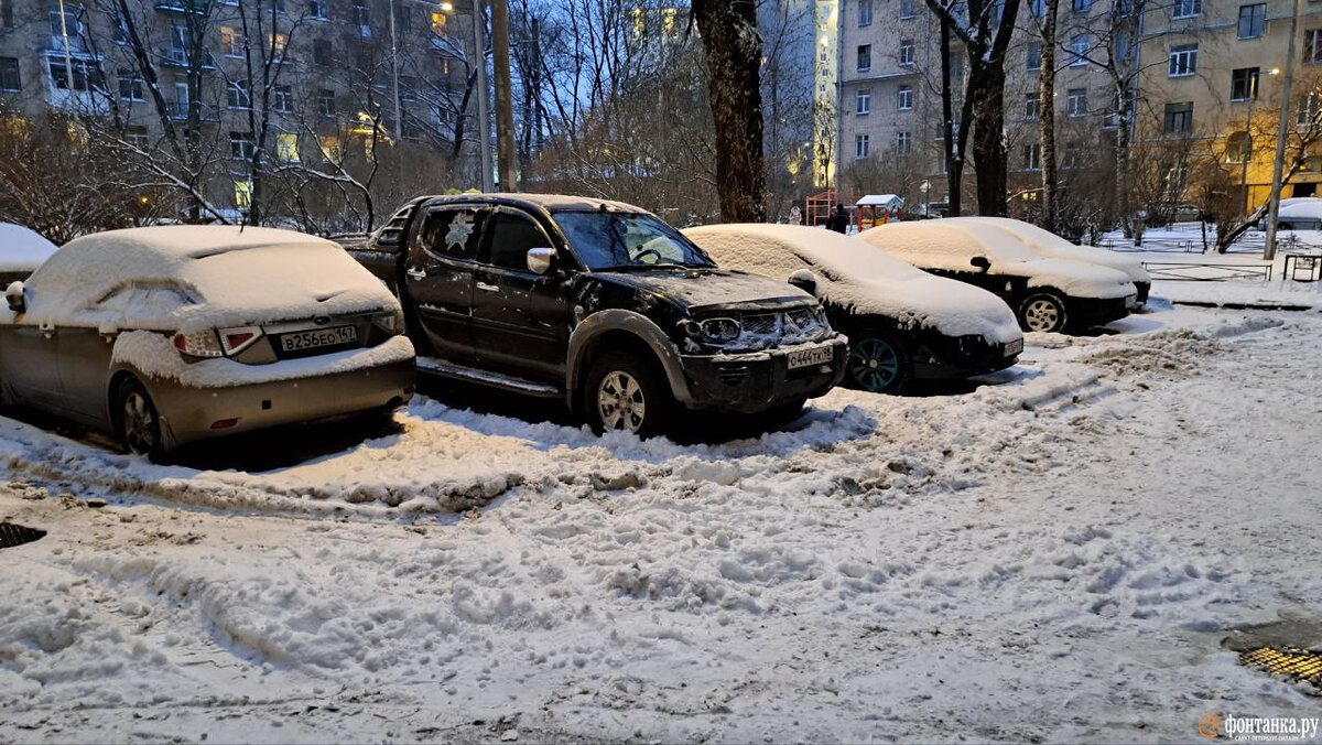 Лапки или шейки. Петербург посмотрел на Москву и скорее откажется от песка,  чем от соли | Фонтанка.ру | Дзен