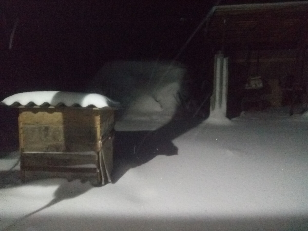  личное фото. Утром вид от крыльца. Темно ещё было.